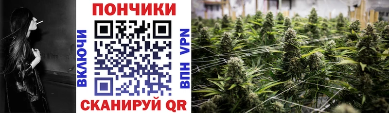 Конопля AK-47  Разумное 
